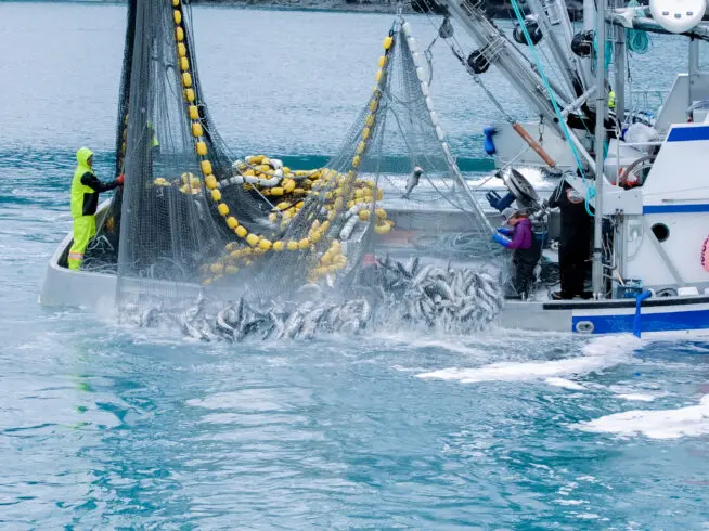 Commercial fishing in Alaska.