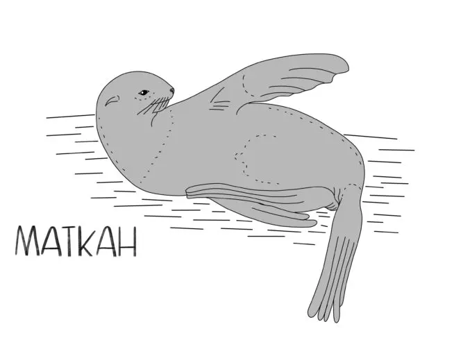 Illustration by Rebecca Tornberg Båanta.