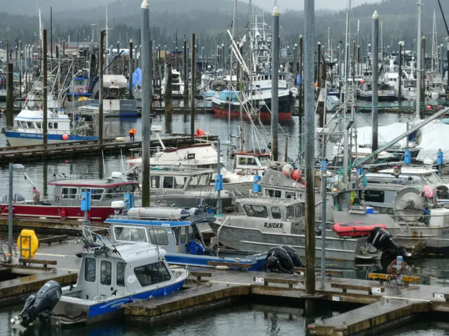 Boats in Petersburg, Alaska